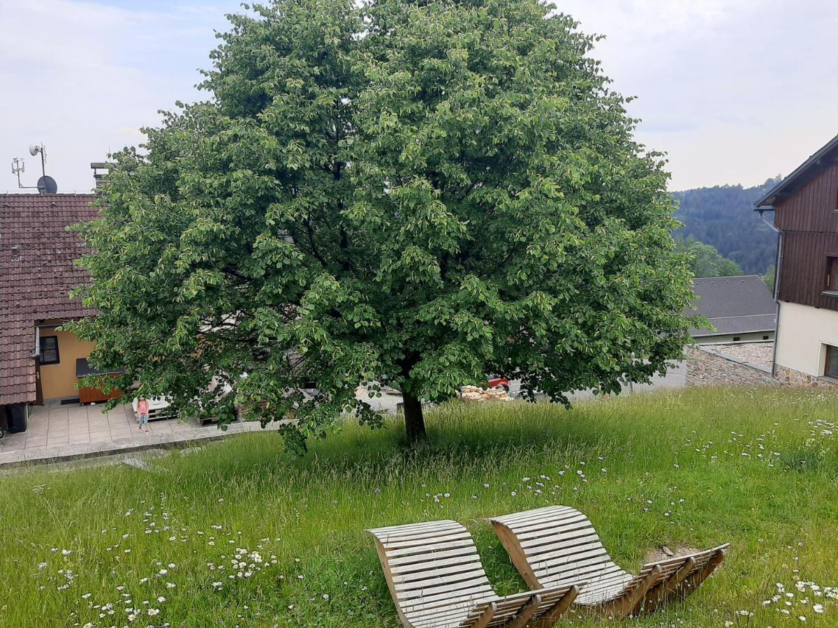 Na Budarce Paseky nad Jizerou Bagian luar foto